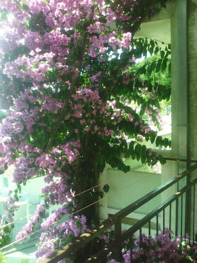 Apartmani Ivona ポドゥゴラ エクステリア 写真